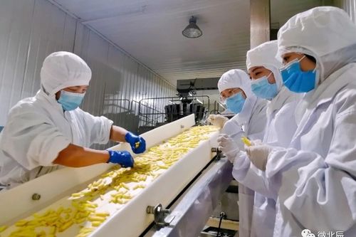北辰这家企业生产的食品畅销15个国家和地区